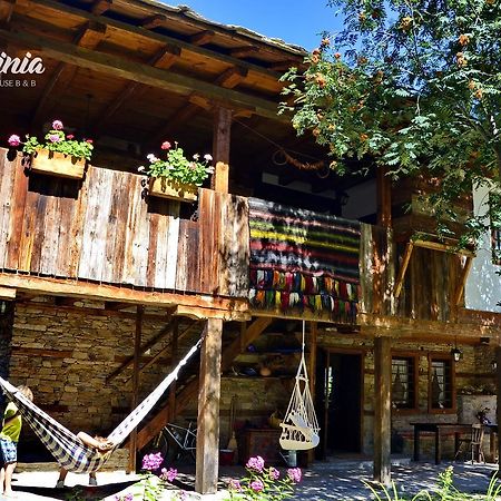 Kalinia Guesthouse B&B Kovačevica エクステリア 写真