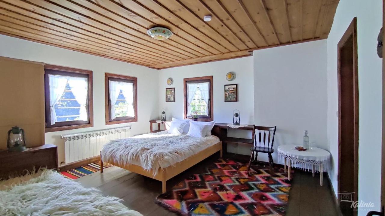 Kalinia Guesthouse B&B Kovačevica エクステリア 写真