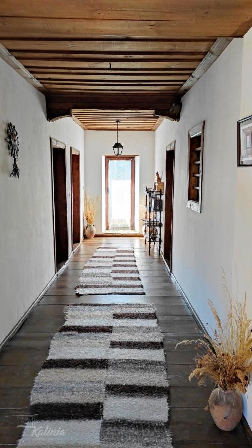 Kalinia Guesthouse B&B Kovačevica エクステリア 写真