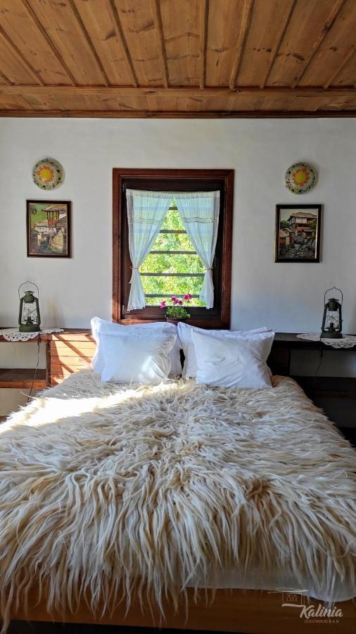 Kalinia Guesthouse B&B Kovačevica エクステリア 写真