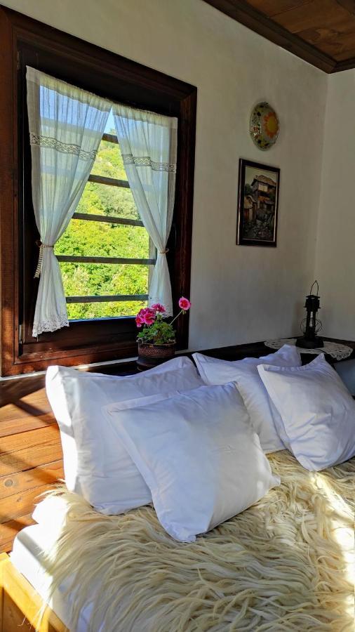 Kalinia Guesthouse B&B Kovačevica エクステリア 写真