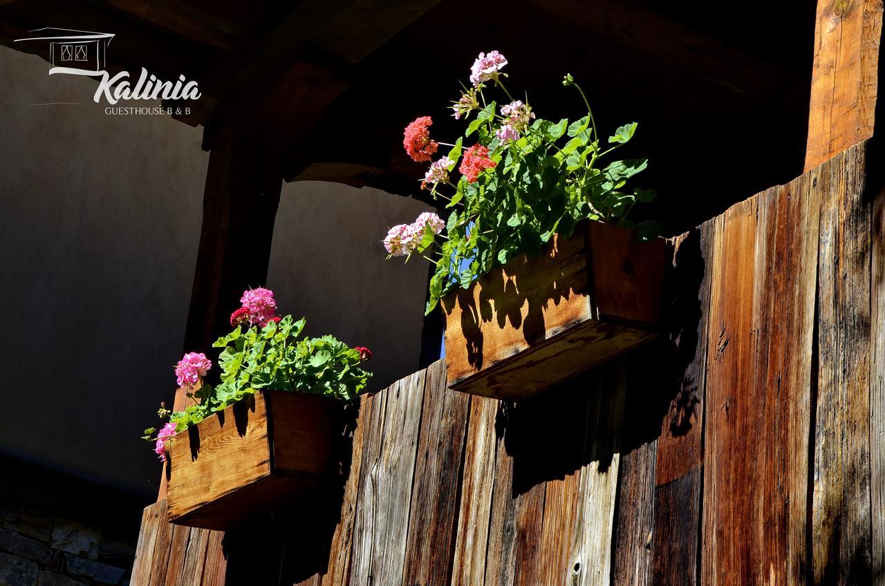Kalinia Guesthouse B&B Kovačevica エクステリア 写真
