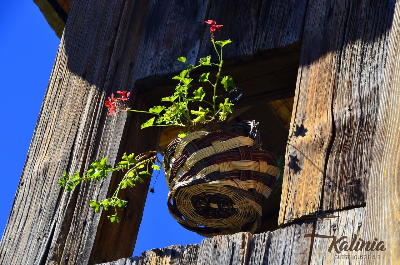Kalinia Guesthouse B&B Kovačevica エクステリア 写真