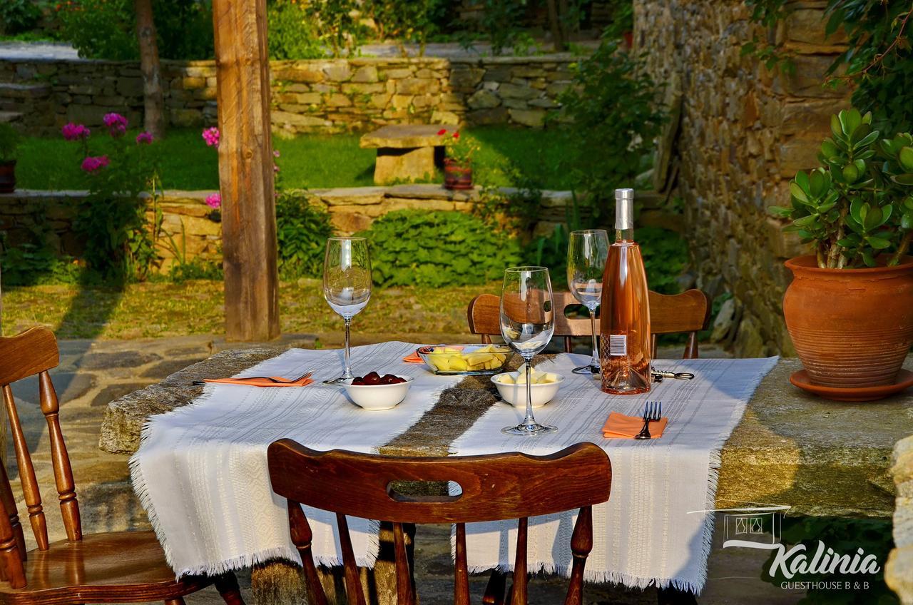 Kalinia Guesthouse B&B Kovačevica エクステリア 写真