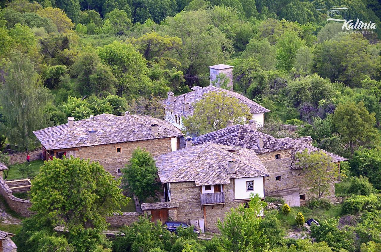 Kalinia Guesthouse B&B Kovačevica エクステリア 写真