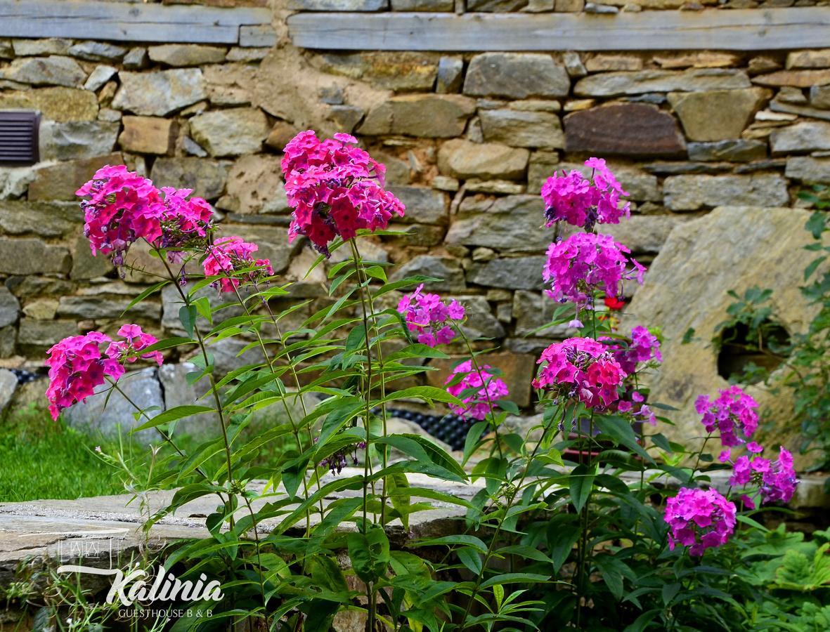 Kalinia Guesthouse B&B Kovačevica エクステリア 写真
