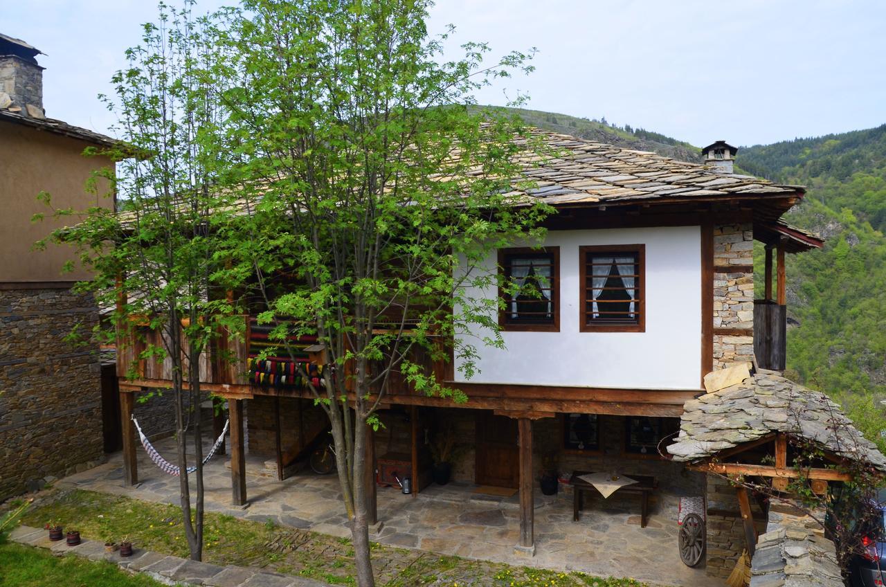 Kalinia Guesthouse B&B Kovačevica エクステリア 写真