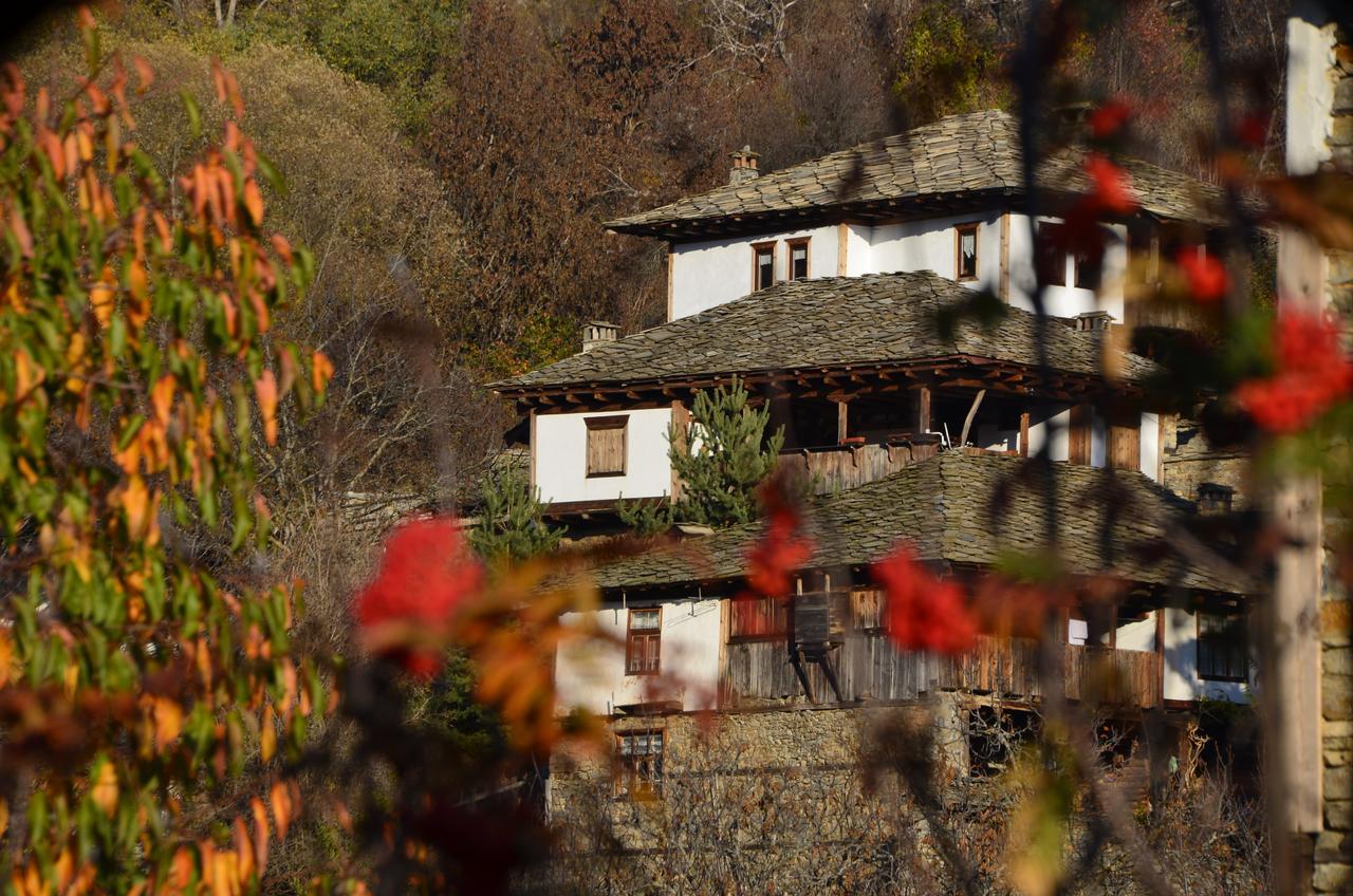 Kalinia Guesthouse B&B Kovačevica エクステリア 写真