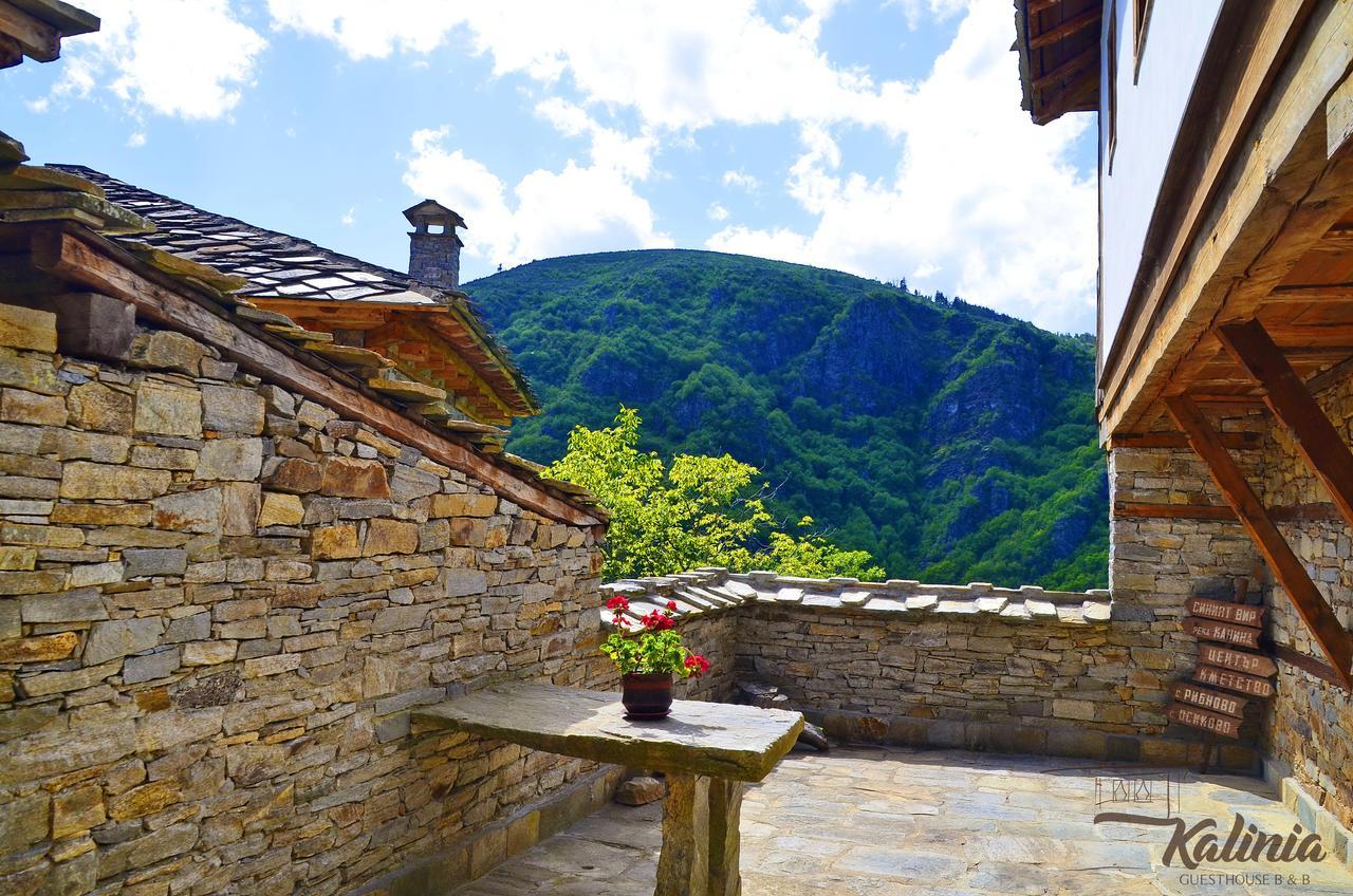 Kalinia Guesthouse B&B Kovačevica エクステリア 写真