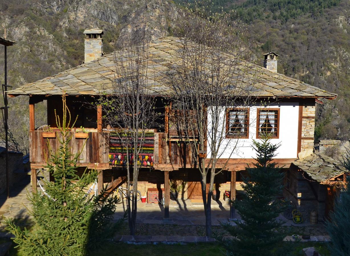 Kalinia Guesthouse B&B Kovačevica エクステリア 写真